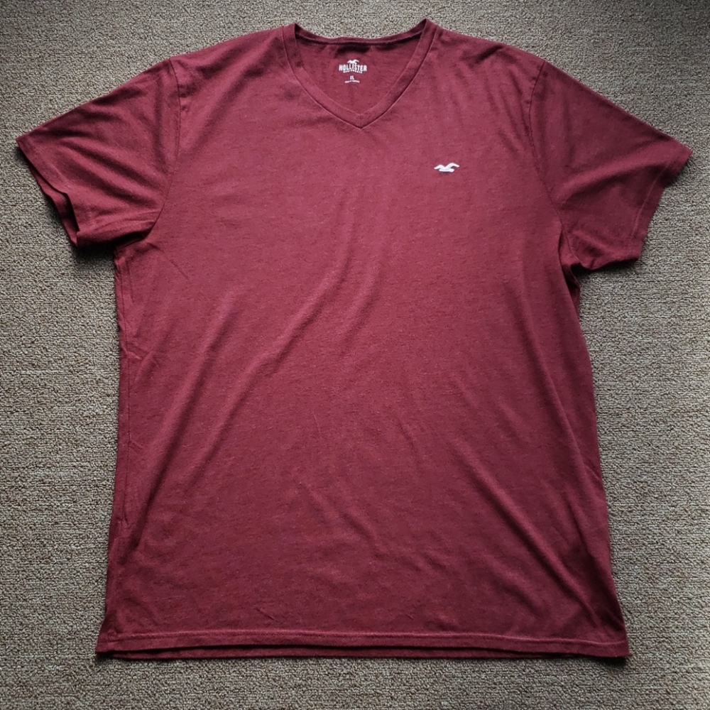 Hollister mens t-shirt